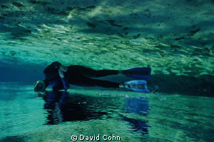 "Optical Illusion" Homssass Springs and river on Florida'... by David Cohn 